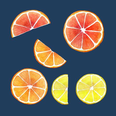 Set of citrus pieces. Round and halves circle lemon, grapefruit and orange on a dark blue background. Watercolor illustration.の写真素材