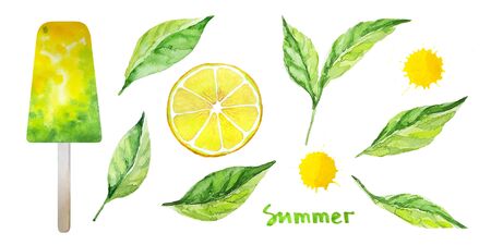 Mint leaves, lemon slice, yellow juice drops, yellow green icepop. Isolated ingredients for healthy homemade lemon mint ice cream. Fruit ice pops. Summer sweets. Warercolor illustration.の写真素材