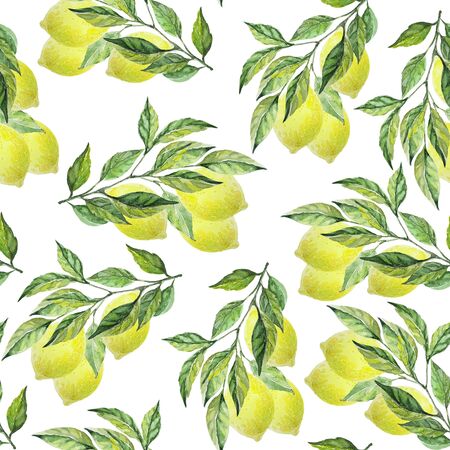 Branches with lemons pattern on white background. Seamless watercolor illustration. Design for fabric, scrapbooking, packaging paper, wallpaper, wrapの写真素材