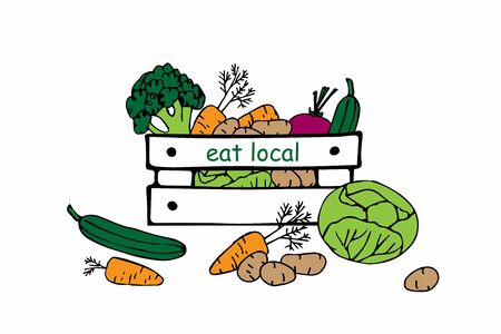 Farmers market vegetables in wooden crate. Hand drawn sketch. Cartoon illustration. Eat local. Isolated on white. Vector design element, logo design template, badge for natural and organic foodのイラスト素材