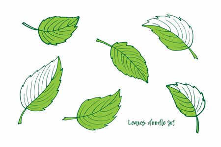 Set of green leaves. Spring and summer Doodle sketch illustration. Floral Herb Design elements. Perfect for scrapbooking, party design, logo, wrapping, wedding invitation, greeting card, blog, posterの写真素材