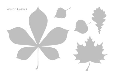 Set of leaves sketch illustration. Isolated on white background. Grey Leaves collection For cards, invitations, congratulations, party feeding, logoのイラスト素材