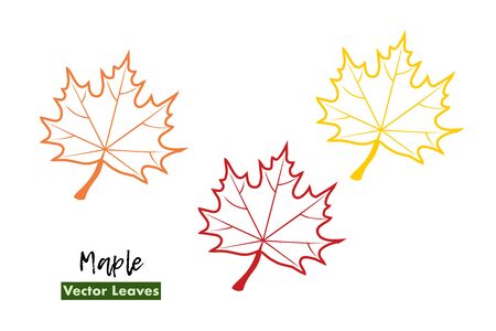 Set of Autumn maple leaves with name. Isolated on white background. Contour, framework, skeleton. For cards, invitations, congratulations, party feeding, logoのイラスト素材