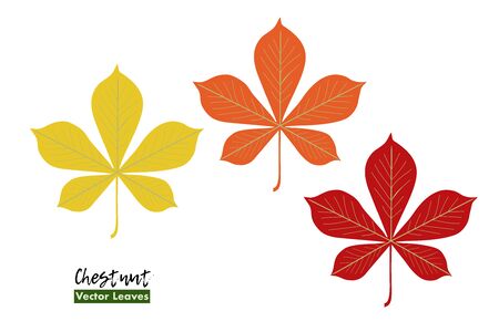 Set of Autumn chestnut leaves with name. Isolated on white background. Red, orange, yellow. For cards, invitations, congratulations, party feeding, logoのイラスト素材