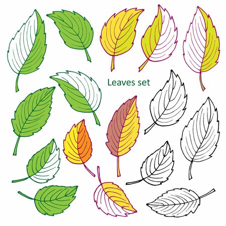 Linear green, red and black leaves set. Vector clipart. Summer and autumn foliage. Falling leaves. For scrapbooking, party design,  wedding invitation, greeting card, blog, posterのイラスト素材