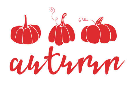 Autumn lettering with three pumpkin silhouettes. Hand drawn lettering. Card, t-shirt design, invitation, restaurant menu with hand drawn pumpkins and handwritten text. Red fall, autumn backgroundのイラスト素材