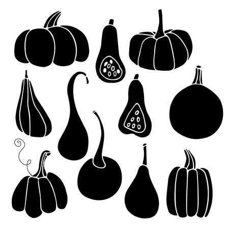 Pumpkin various. Happy Thanksgiving. Harvest season. Hand drawn vector set. Silhouette Illustration. Thanksgiving or Halloween holidays flat design. Pumpkin cartoon icon symbol isolated whiteのイラスト素材