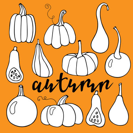 Autumn lettering. Pumpkin various. Harvest season. Hand drawn vector set. Thanksgiving or Halloween holidays flat. Pumpkin cartoon icon symbol isolate. Typography composition for Thanksgiving Dayのイラスト素材