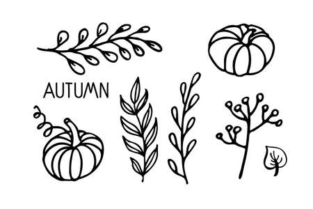 Autumn plants vector set. Linear black and white doodle sketch. Pumpkins, leaves, branches, berries.Hand drawn design elements. For banner, flyer, brochure, card, poster. Autumn nature illustration.のイラスト素材
