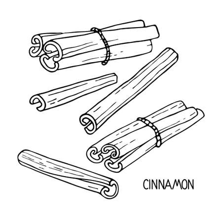 Cinnamon sketch set. Hand drawn vector spices cinnamon sticks. Medicinal, cosmetic, culinary plants. Doodle Outline illustration. For cafe, spice shop, menu. Organic and fresh cookingのイラスト素材