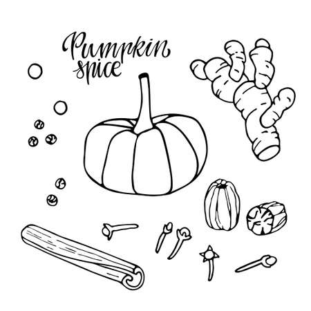Pumpkin spice set. Hand drawn Autumn elements with lettering. Doodle Outline vector illustration. Organic, fresh cooking, healthy diet ingredient. Organic product sketch. Flavor cooking ingredient.のイラスト素材