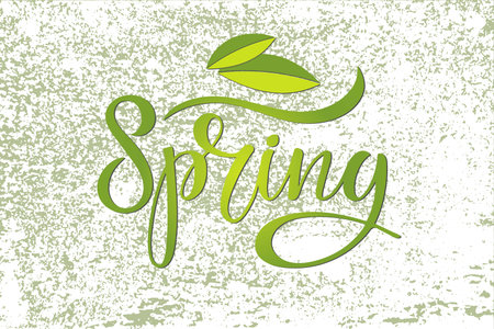 Green Spring lettering with leaves isolated on textured background. Hand drawn design for seasonal spring holiday greeting card, banner, flyer, brochure, poster, invitation. Spring time illustrationのイラスト素材