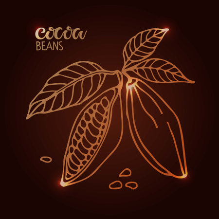Shining Cocoa beans with leaves sketch and handwritten Cocoa beans lettering on brown background. Doodle Outline illustration for cafe, shop, menu.  Organic food sketchのイラスト素材