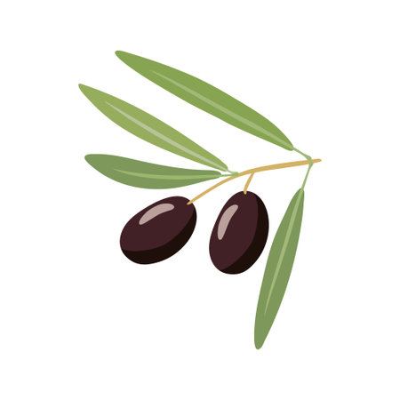 Branch with two black olives and leaves. Overhead view of olives on green branch. Vegetable for the Mediterranean or vegan diet. Flat design style for menu, cafe, restaurant, poster, label, sticker.のイラスト素材