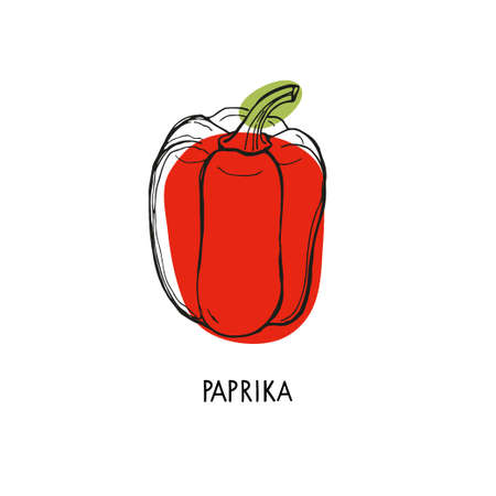 Paprika. Hand drawn sketch and green spots. Red sweet pepper vector illustration. For logo, menu, farmers market, packing, kitchen print, wall decor, organic food store, natural health care productsのイラスト素材