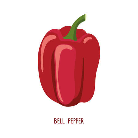 Bell pepper isolated on white. Healthy eating design. Vegetable Ingredients for cooking flat design for cafe, restaurant menu, farmers market, vegetarian salad recipe, poster, banner, emblem, sticker.のイラスト素材