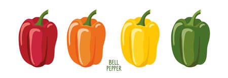 Bell pepper set. Different colors and varieties pepper. Fresh farm vegetables. Ingredients for cooking. Flat design style for menu, cafe, restaurant, poster, banner, emblem, sticker, recipe design.のイラスト素材