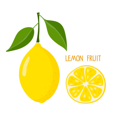 Whole lemon with leaflets and lemon slice isolated on white. Fresh sour Citrus fruit and inscription vector. Yellow fruit. Flat vector Illustration for summer design, lemonade, juice, vitamin C logo.のイラスト素材
