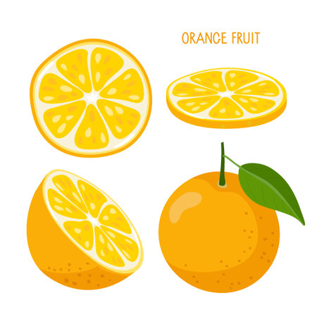 Orange fruit. Whole, half, and slice of fruit isolated on white. Fresh sour Citrus fruit with inscription. Dietetic, vegetarian and healthy food. Flat vector for summer design, lemonade, juice, logo.のイラスト素材