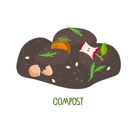 Recycling, ecology and agriculture illustration. Compost from fruits, vegetable scraps, greens, shells in ground. No Food waste. Environmentally responsible behavior. Garbage sortingのイラスト素材