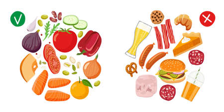 Healthy food and Junk food. Benefits of proper nutrition. Diet Choice. Choose foods that are body useful. Healthy food vector flat on white background. Healthy nutrition. Fastfood vs balanced menuのイラスト素材