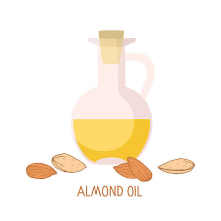 Almond oil in glass bottles and almond nut. Organic health care products. Healthy nutrition product. For cosmetics, spa and massage, for cooking cartoon style isolated on white.のイラスト素材