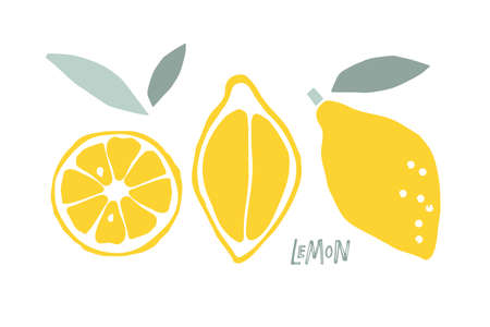 Abstract Lemon fruit, childish hand drawn doodle sketch isolated on white background. Flat vector illustration Food template for menu, lemon juice label, tea tag. Citrus whole fruit, half and slice.のイラスト素材
