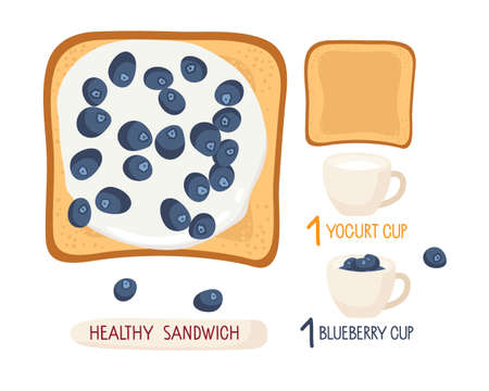 Scandinavian open toast with yogurt and blueberries. Healthy berry sandwich. Top view Ingredients for cooking toast with inscriptions Vector illustration. Sweet toast recipe for Healthy breakfast.のイラスト素材