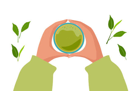 Green tea matcha. Two hands holding cup of traditional Japanese drink. Flat lay vector illustration. Template of banner, poster for coffee shop, restaurant. Proper nutrition and a healthy lifestyle.のイラスト素材