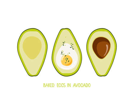 Baked Eggs in Avocado. Avocado fruit with egg and spring onion. Home healthy breakfast recipe. Vegetarian dish. Ketogenic diet. Keto food. Organic tropical food eco template for menu, cooking classのイラスト素材