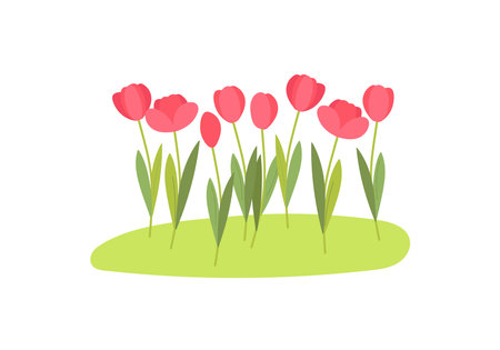 Flower bed with tulips. Red flowers grow on green lawn. Spring flowers for spring holiday design. Garden flower bed. Colored cartoon flat vector illustration.のイラスト素材