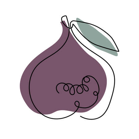 Abstract fig fruit with leaves, Continuous one line drawing isolated on white background. Fashionable trend Vector illustration Food template for menu, postcards, nursery design.のイラスト素材