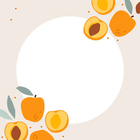 Apricot frame. Fruits with leaf hand drawn sketch isolated. Border with Whole fruit and cut half. Frame of fresh apricot fruits. Silhouette vector Natural template with copy space.のイラスト素材