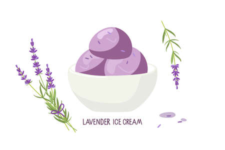 Bowl with lavender ice cream and fresh lavender flowers. Home made lavender ice cream. Food vector isolated on white background. Culinary course poster concept, culinary school.のイラスト素材