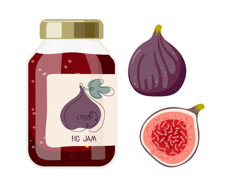 Fig jam in glass jar with label and fresh fig. Canned fig fruits. Jam in jars. Homemade preparations and canning. Fruit conservation vector illustration. Farmer Market Branding. Organic food template.のイラスト素材