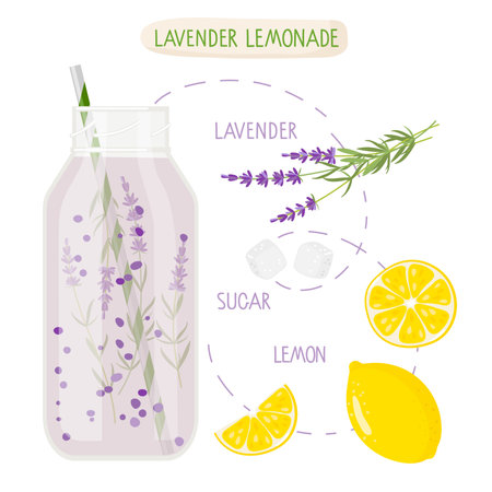 Health nutrition. Lavender Lemonade recipe. Glass with Lilac beverage and fruit and vegetable ingredients with inscriptions. Flat vector illustration For cafe menu, store. Organic raw shake drink.のイラスト素材