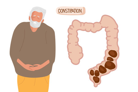 Abdominal pain due to constipation. Intestine with constipation internal organs digestive system. Suffering from pain. Senior man holding hand on belly zone. Flat vector illustration. healthcareのイラスト素材
