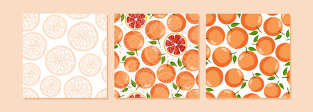 Grapefruit background collection. Three pattern citrus set. Abstract Seamless pattern with...