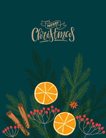 Vector Christmas illustration. Christmas greeting card with Orange fruits and spruce branches, berries, spices and inscription Merry Christmas on dark background. Handwritten calligraphy lettering.のイラスト素材