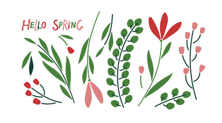 Spring Plant doodle sketch set. Red pink green on white background. Flowers, branches, grass. Hand drawn design elements. For banner, flyer, brochure, card, poster. Spring nature vector illustrationのイラスト素材