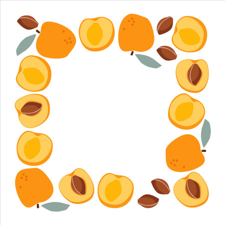 Apricot frame. Square fruit border. Apricot frame isolated with copy space. Summer background For poster, banner, invitation, packaging design, branding. Fruits round frame. Fruit banner template.のイラスト素材