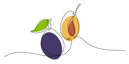 Continuous one line drawing plums with leaves and seeds. Abstract hand drawn fruit by one line. Organic simple icon with purple, yellow and green spots on white. Fashionable trend vector illustrationのイラスト素材