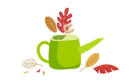 Watering can with autumn leaves. Vector illustration of autumn leaf in watering can. Vector flat isolated on white background. Autumn golden color leaf set. Seasonal doodle. seasonal floralsのイラスト素材