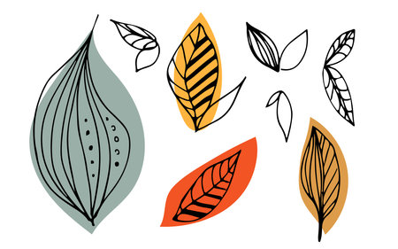 Fall Leaves. Abstract Decorative Fresh Natural elements banner, card and invitation, autumnal parties. Autumn leaf line art doodle, Seasonal banner. Autumn Set. Forest, park design elements.のイラスト素材