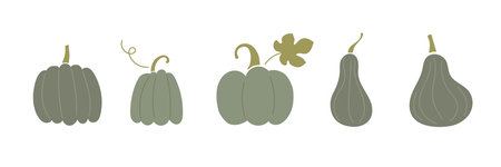 Hand drawn autumn pumpkin set. Festive autumn banner, border, Card, invitation, menu. Autumn decorative pumpkin elements isolated on white. Harvest seasonal vector collection for autumn holidays.のイラスト素材