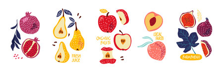 Fruit set. Local Farm. Hand drawn Bright different fruits whole and cut. Farmer market. Abstract hand drawn fruits. Fashionable trend vector illustration isolated on white for packing juice, jam.のイラスト素材