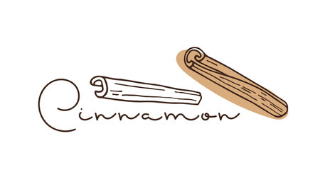Cinnamon, Spicy. Cinnamomum bark. Doodle Cinnamon stick Outline vector illustration with inscription. Seasoning for food and drinks. Product sketch for packaging, sale, shop. Flavor cooking ingredientのイラスト素材