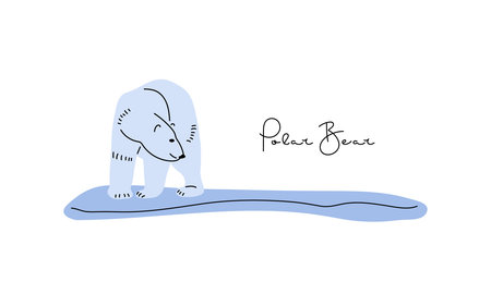 Polar Bear set. Flat vector illustrations of North animal. Adult polar bears standing, walking, sitting and hunting. Wild animals of Arctic Circle. Arctic white north animalのイラスト素材