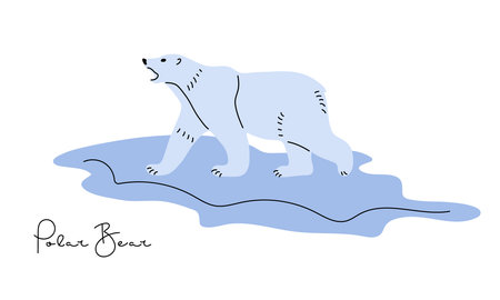 Polar Bear walking on ice floe and growling in middle of Arctic Ocean. Predator hunting. Wildlife conservation. Flat style Vector illustrations. Wild animal of Arctic Circle. Arctic north animalのイラスト素材