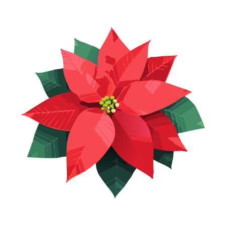 Poinsettia Christmas Flower Christmas Imageの素材